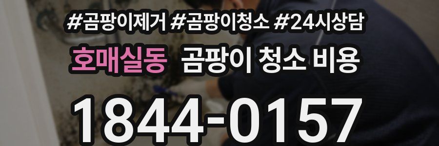 호매실동 곰팡이 청소 비용