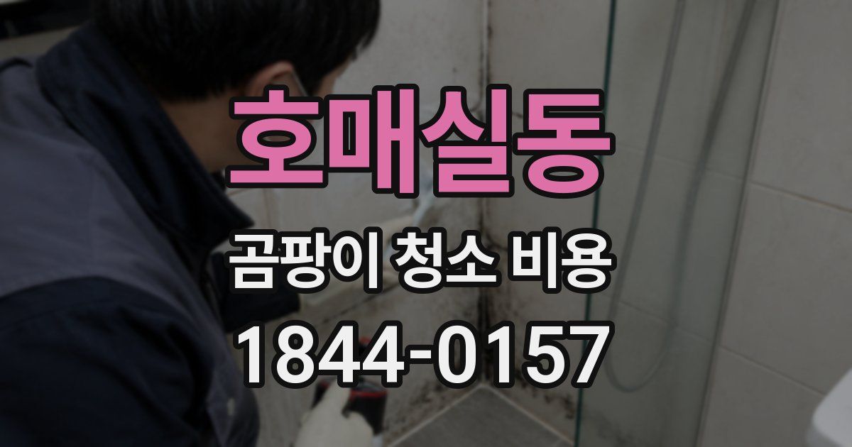 호매실동 곰팡이 청소 비용