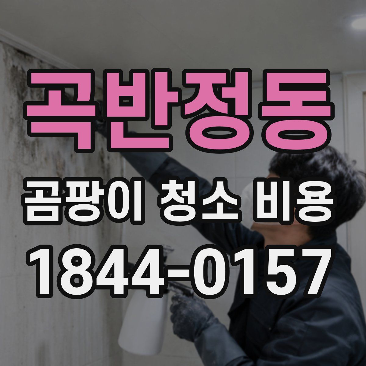 곡반정동 곰팡이 청소 비용