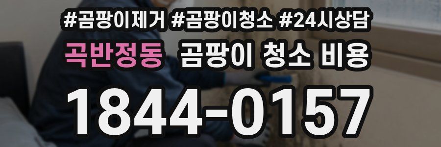 곡반정동 곰팡이 청소 비용