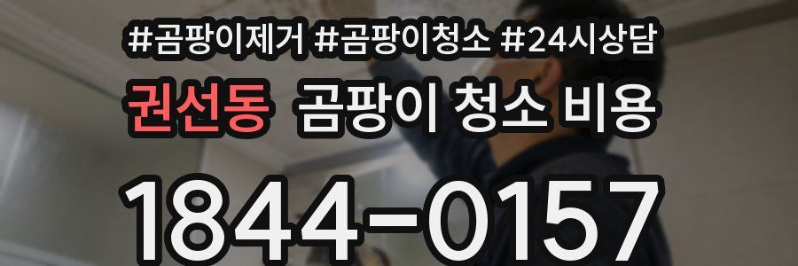 권선동 곰팡이 청소 비용