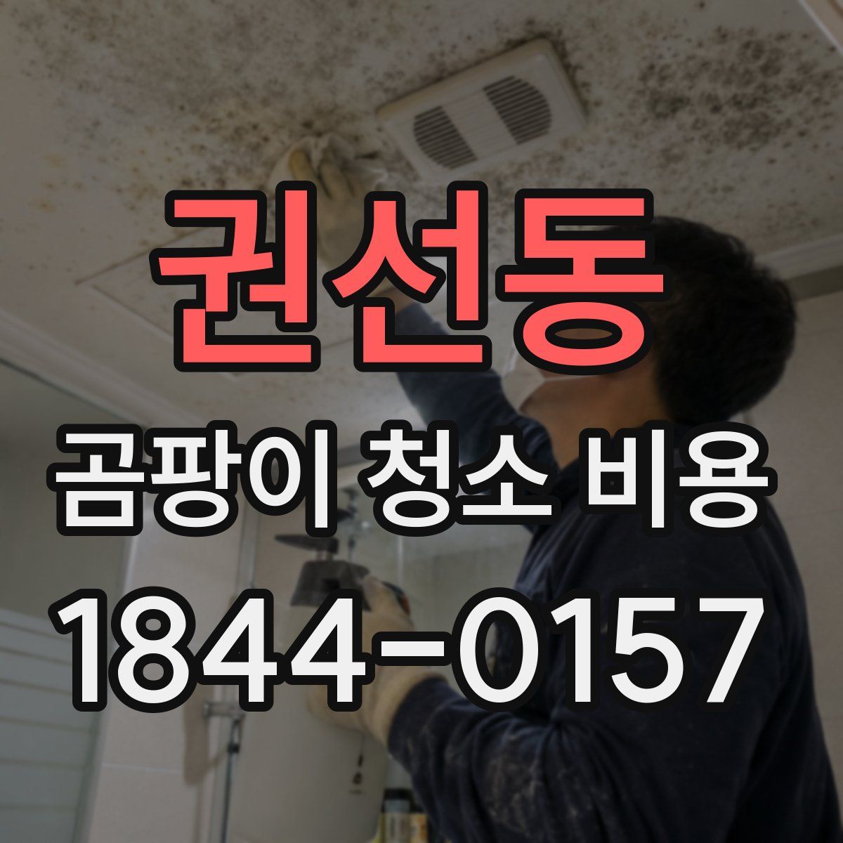 권선동 곰팡이 청소 비용