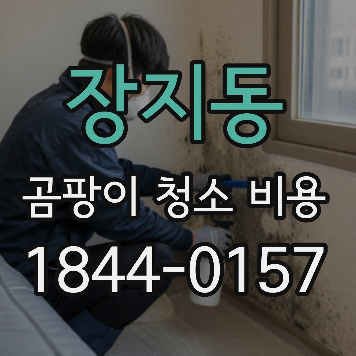 장지동 곰팡이 청소 비용 약품 선택 기준과 현장 확인 항목