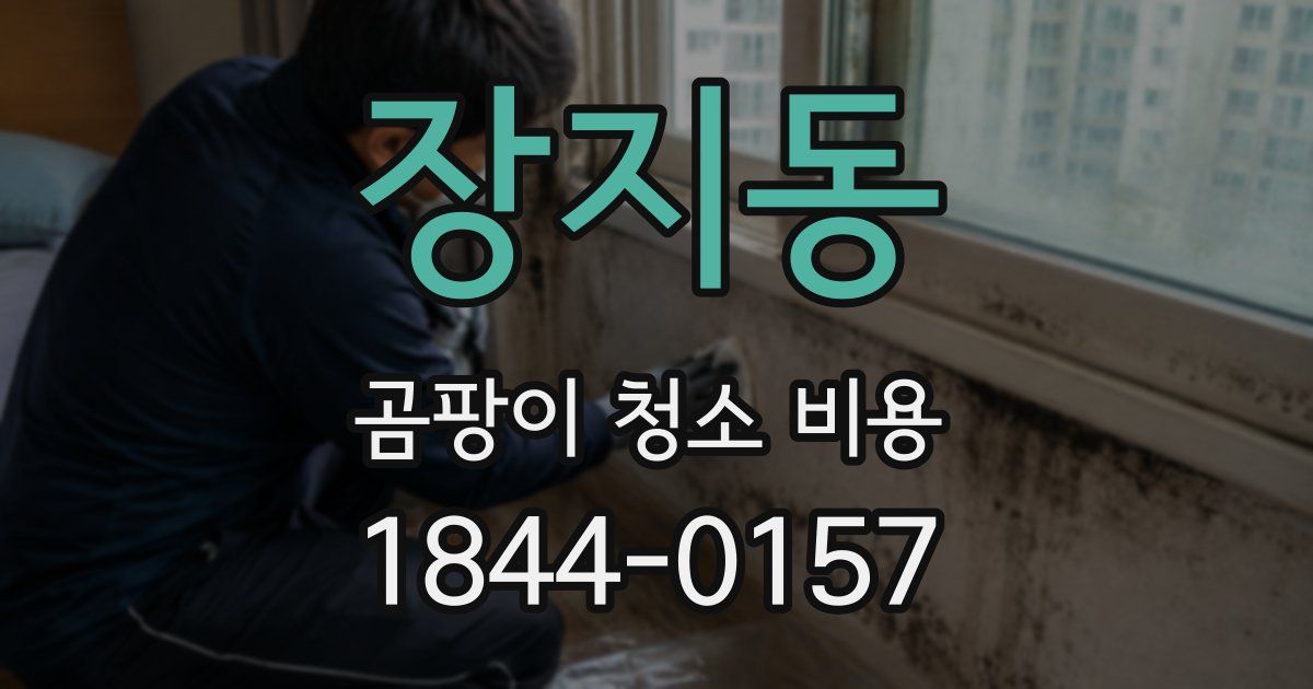 장지동 곰팡이 청소 비용