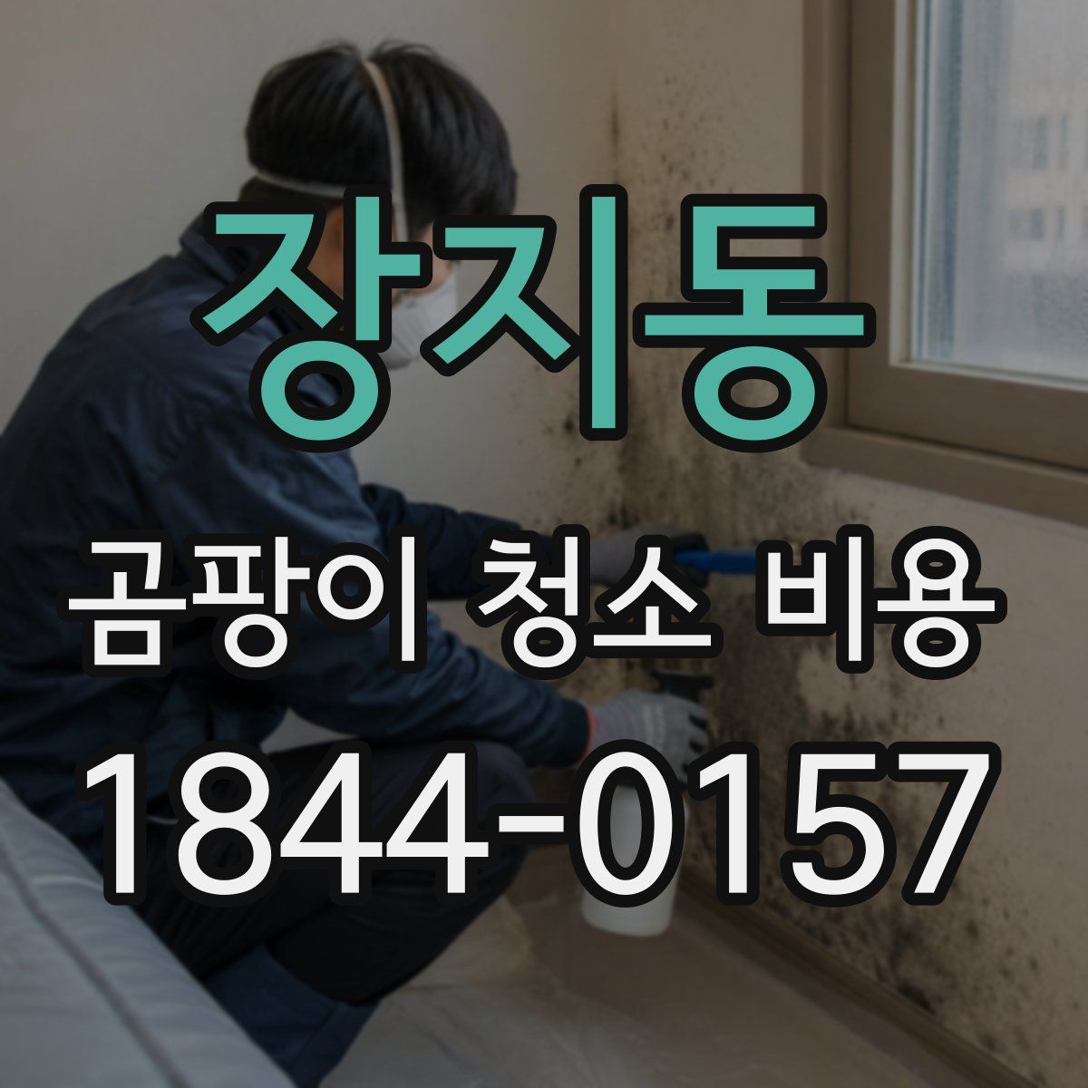 장지동 곰팡이 청소 비용