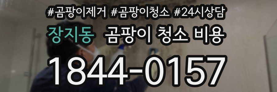 장지동 곰팡이 청소 비용