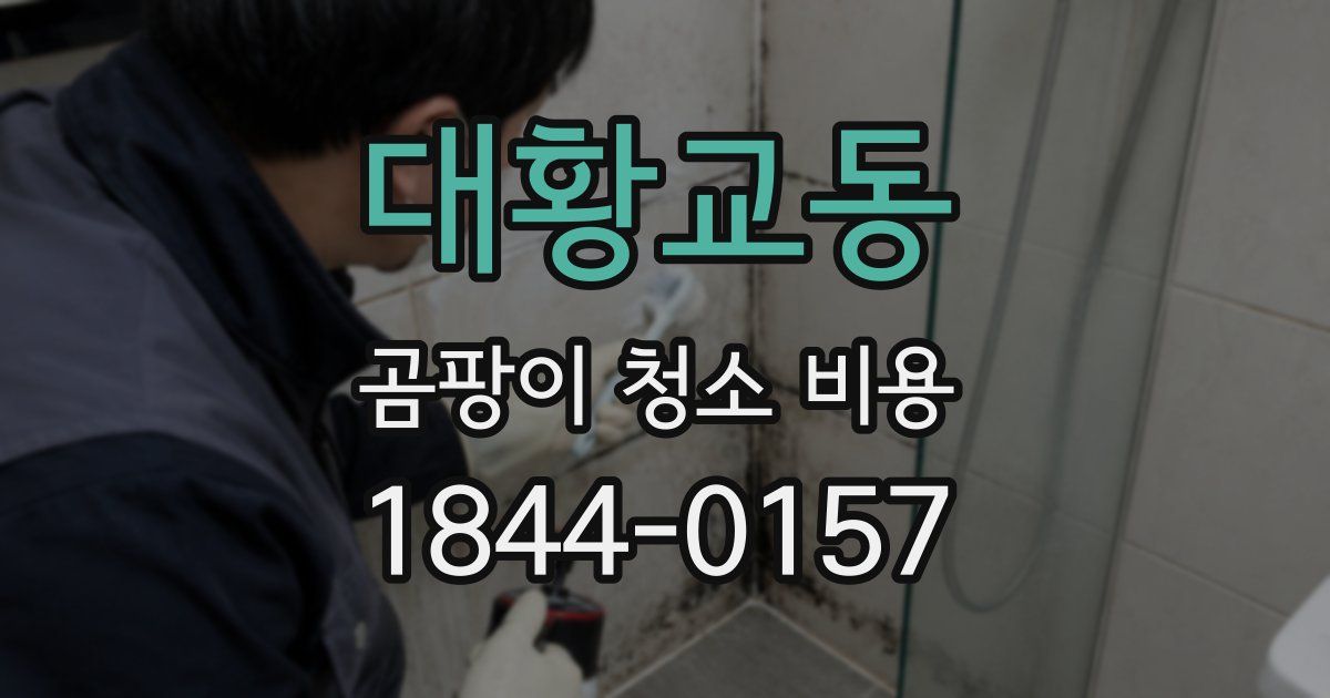 대황교동 곰팡이 청소 비용