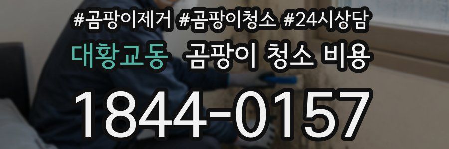 대황교동 곰팡이 청소 비용