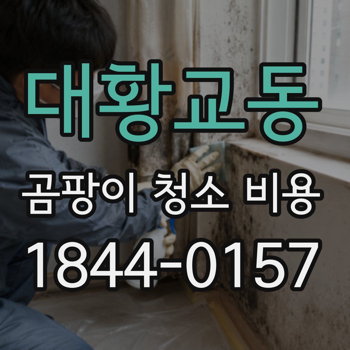 대황교동 곰팡이 청소 비용