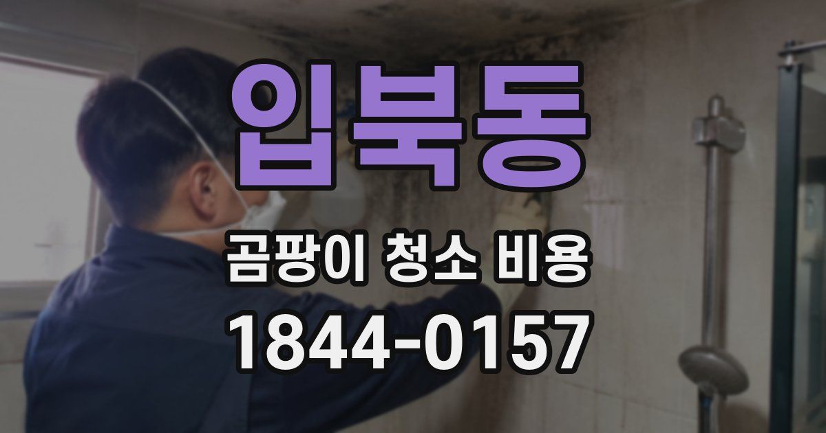 입북동 곰팡이 청소 비용