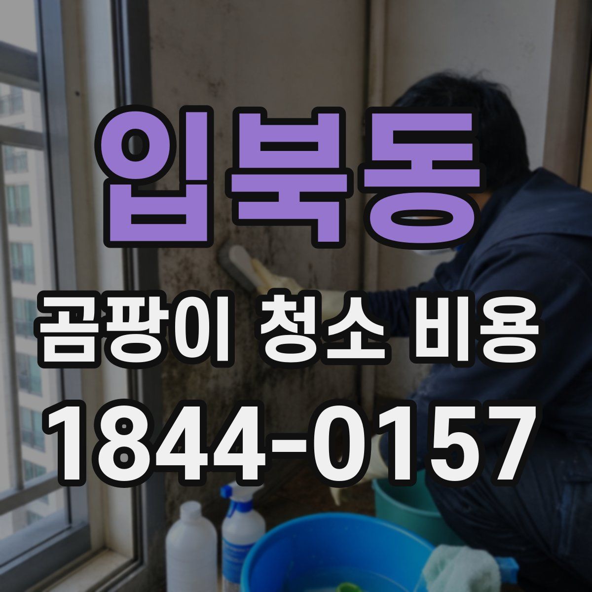 입북동 곰팡이 청소 비용