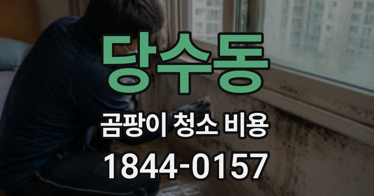 당수동 곰팡이 청소 비용