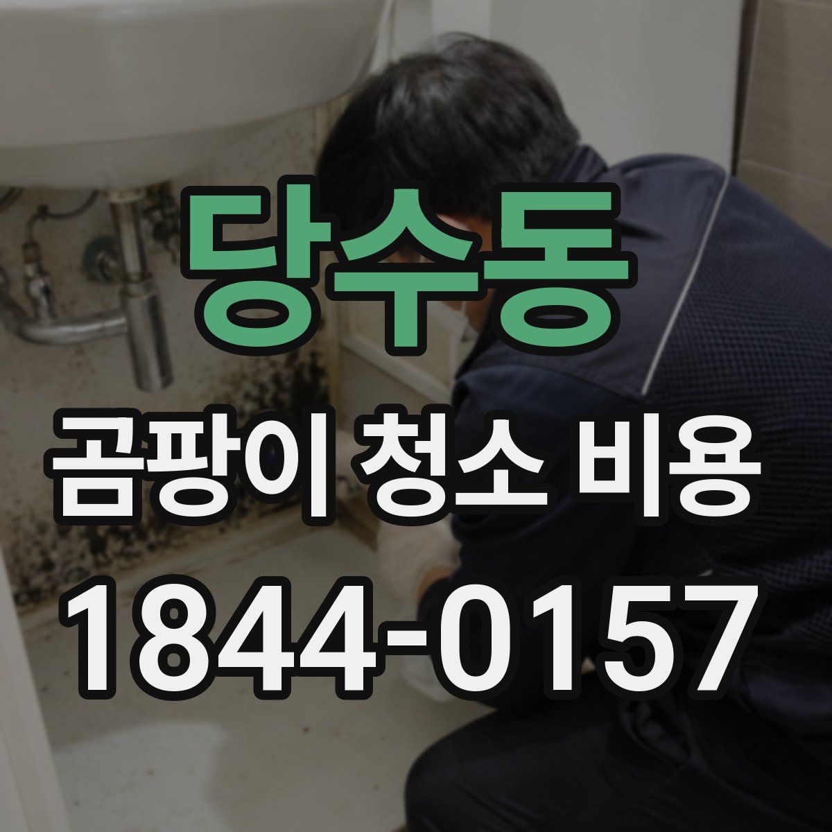 당수동 곰팡이 청소 비용