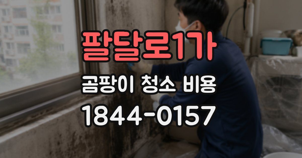 팔달로1가 곰팡이 청소 비용