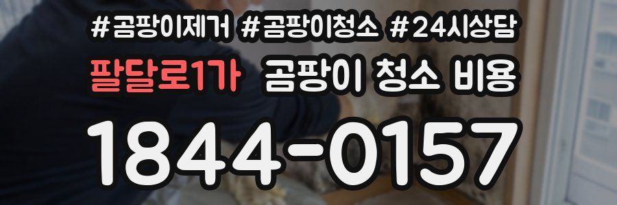 팔달로1가 곰팡이 청소 비용