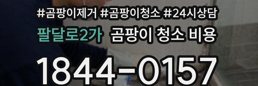 팔달로2가 곰팡이 청소 비용