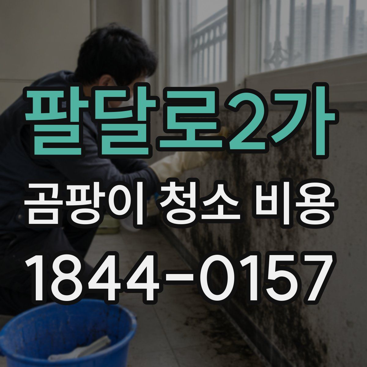 팔달로2가 곰팡이 청소 비용