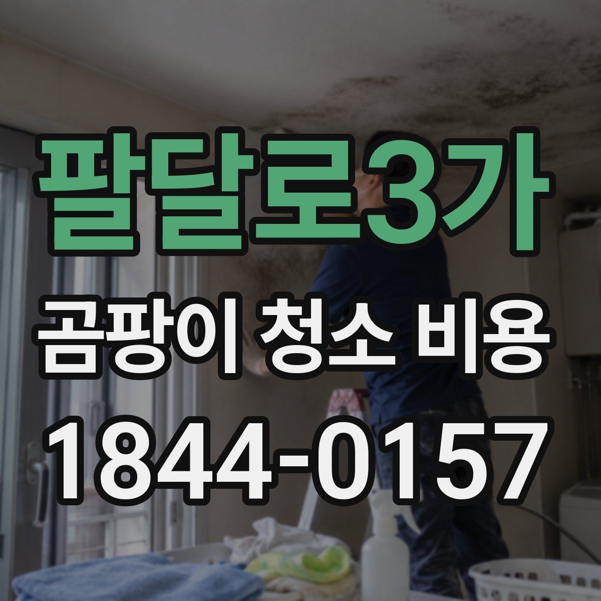 팔달로3가 곰팡이 청소 비용