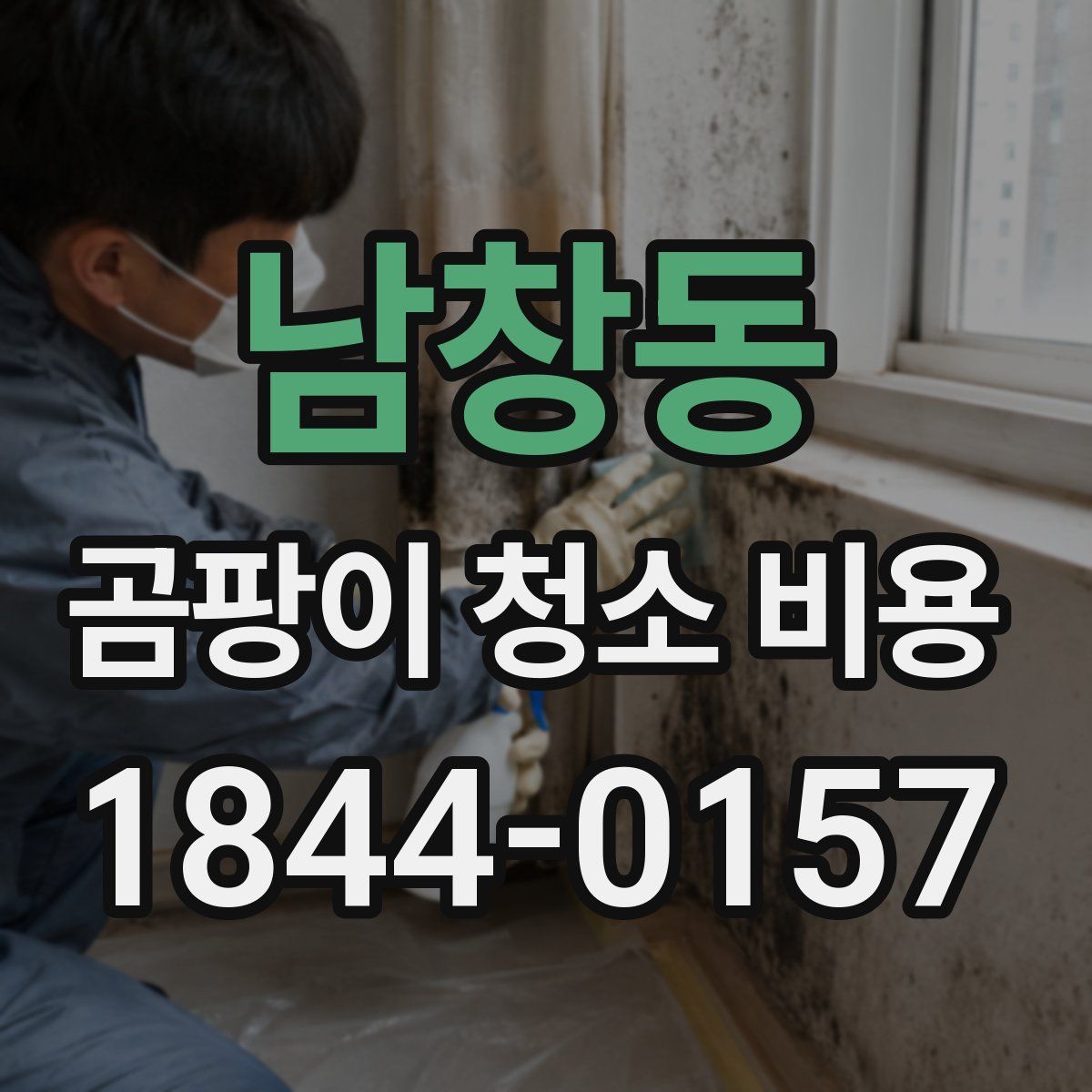 남창동 곰팡이 청소 비용