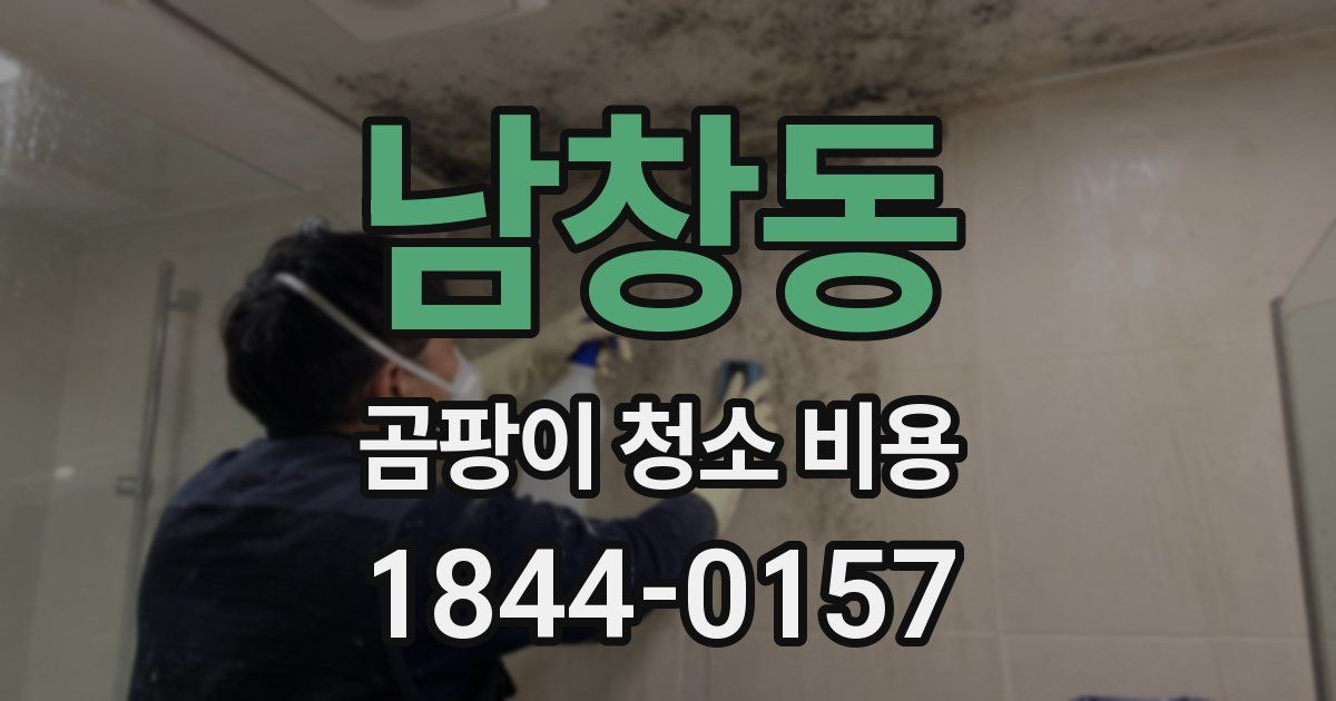 남창동 곰팡이 청소 비용