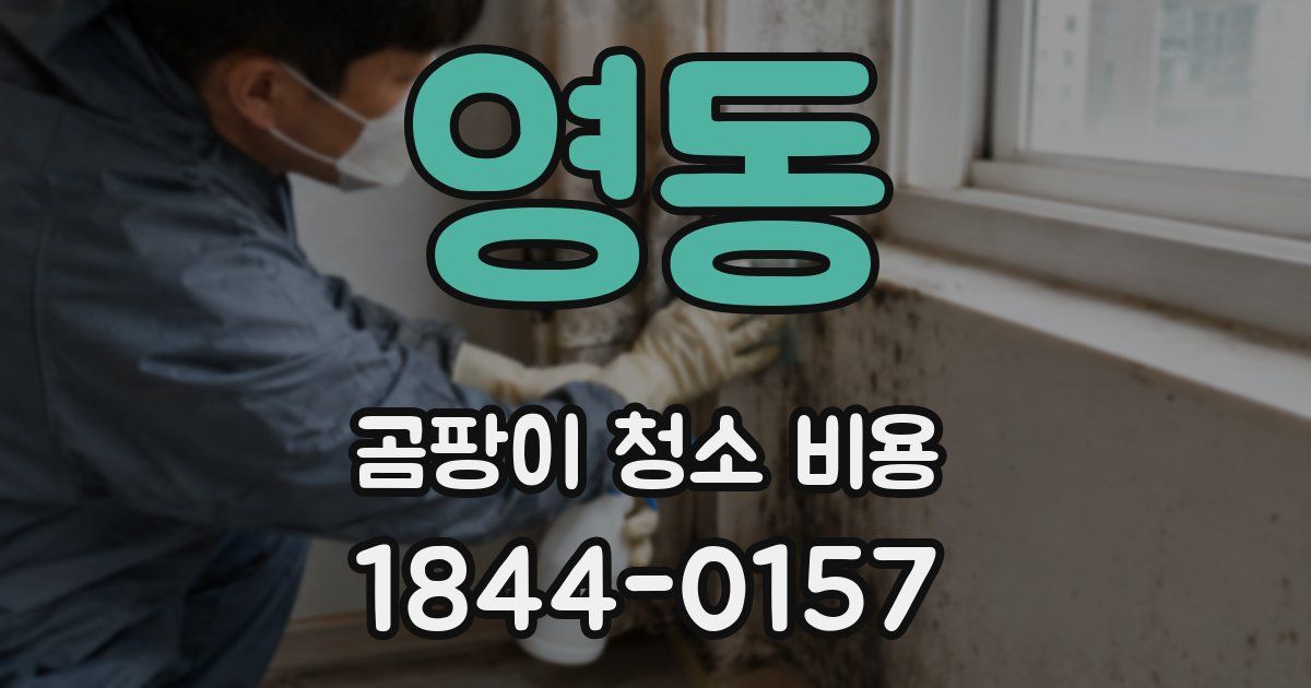 영동 곰팡이 청소 비용