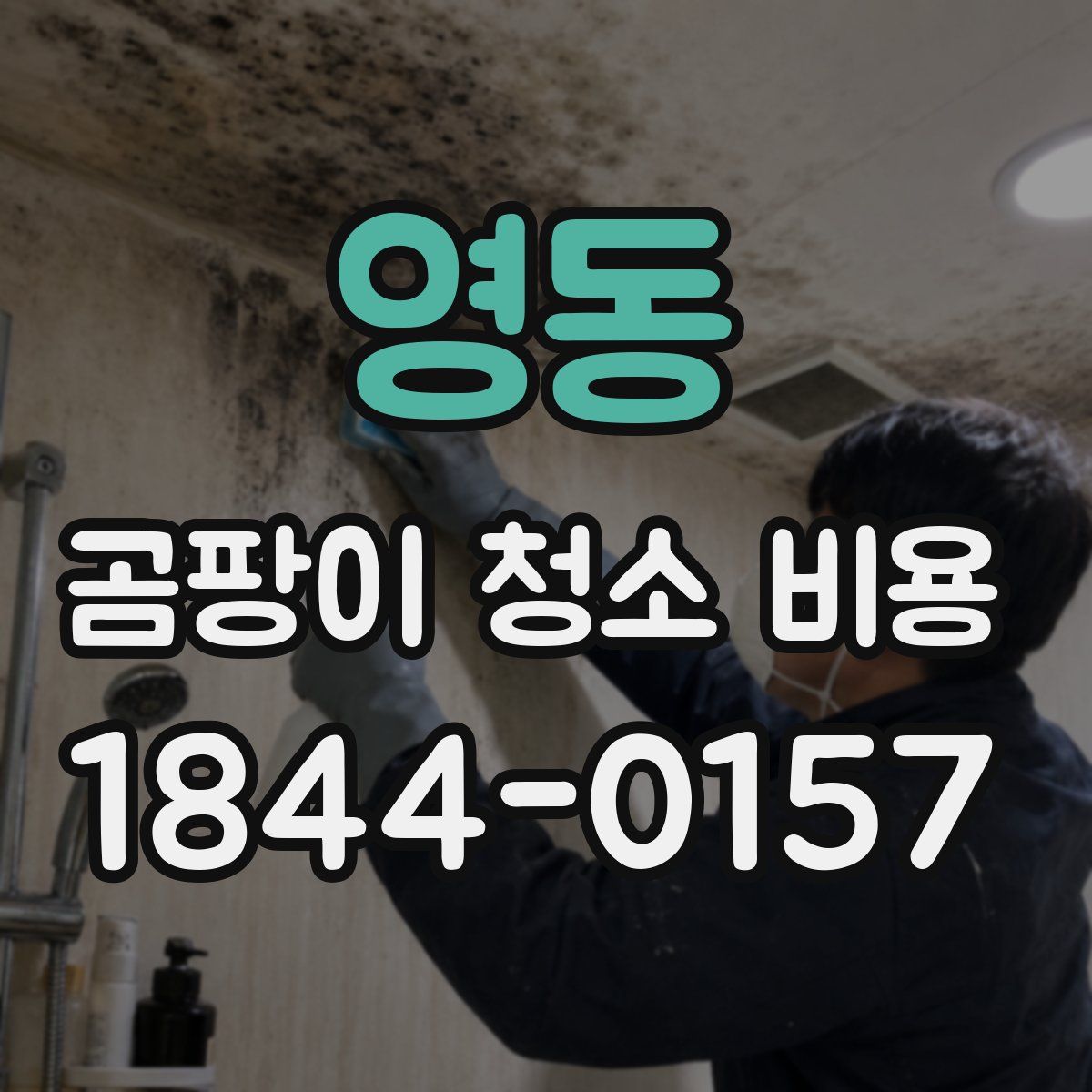 영동 곰팡이 청소 비용