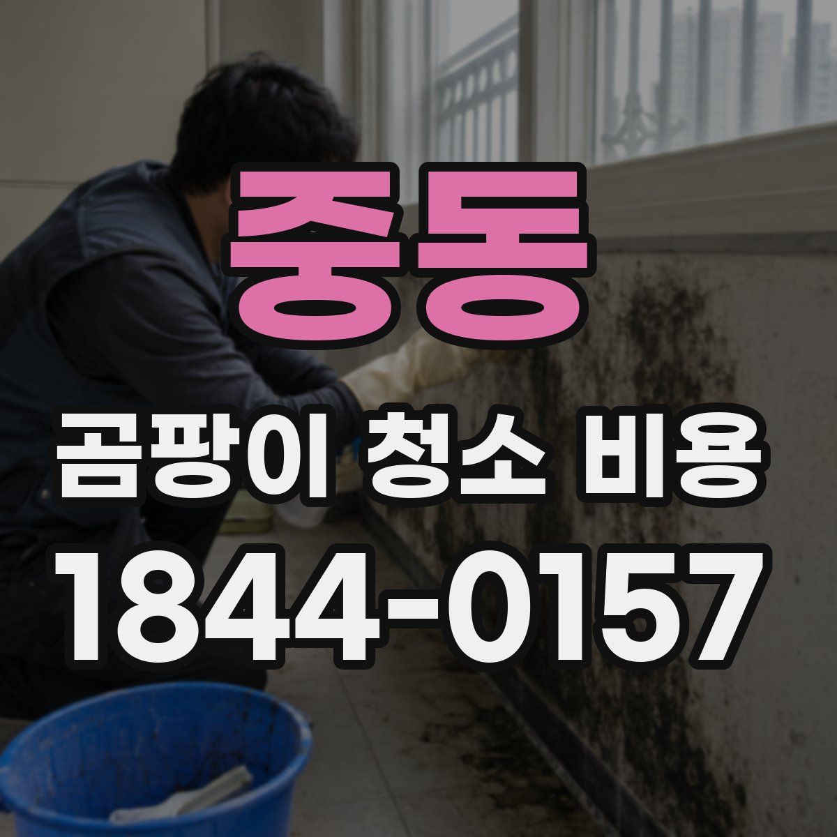 중동 곰팡이 청소 비용