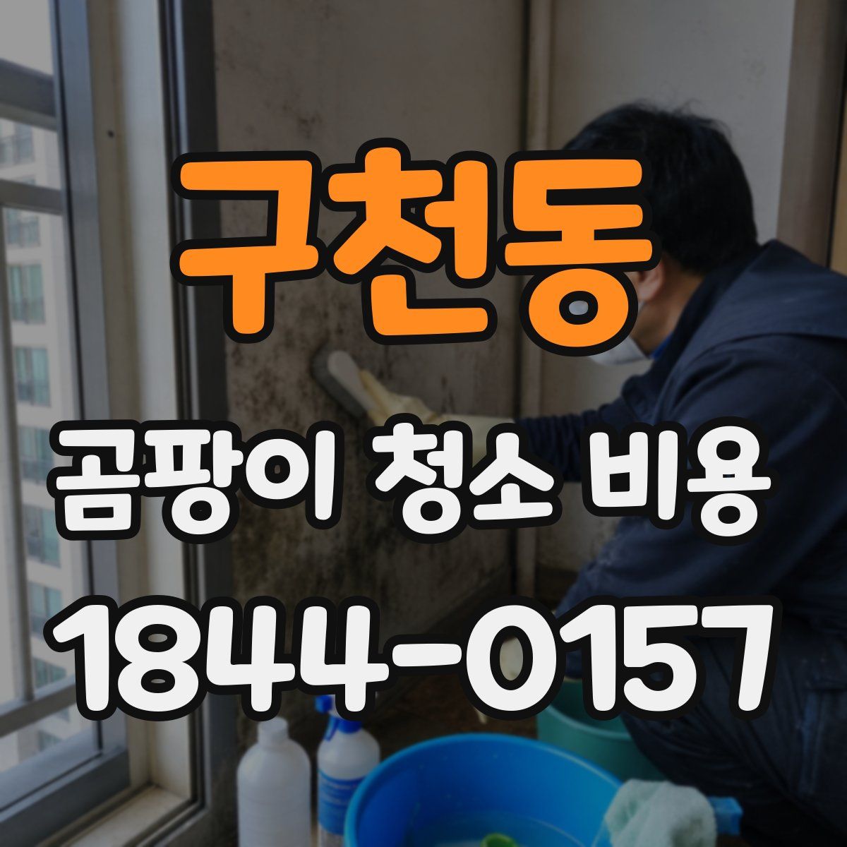 구천동 곰팡이 청소 비용