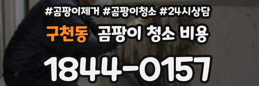 구천동 곰팡이 청소 비용