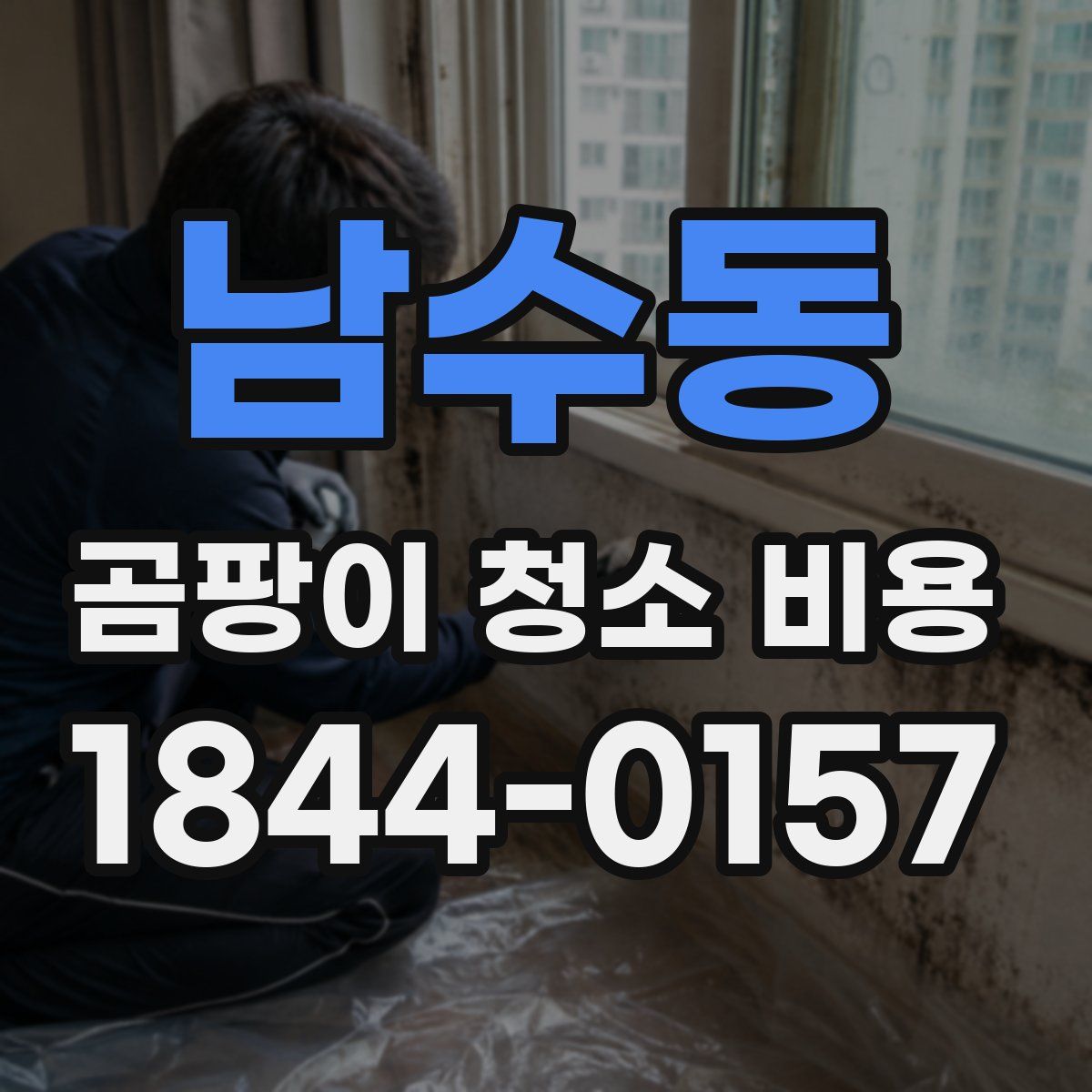 남수동 곰팡이 청소 비용