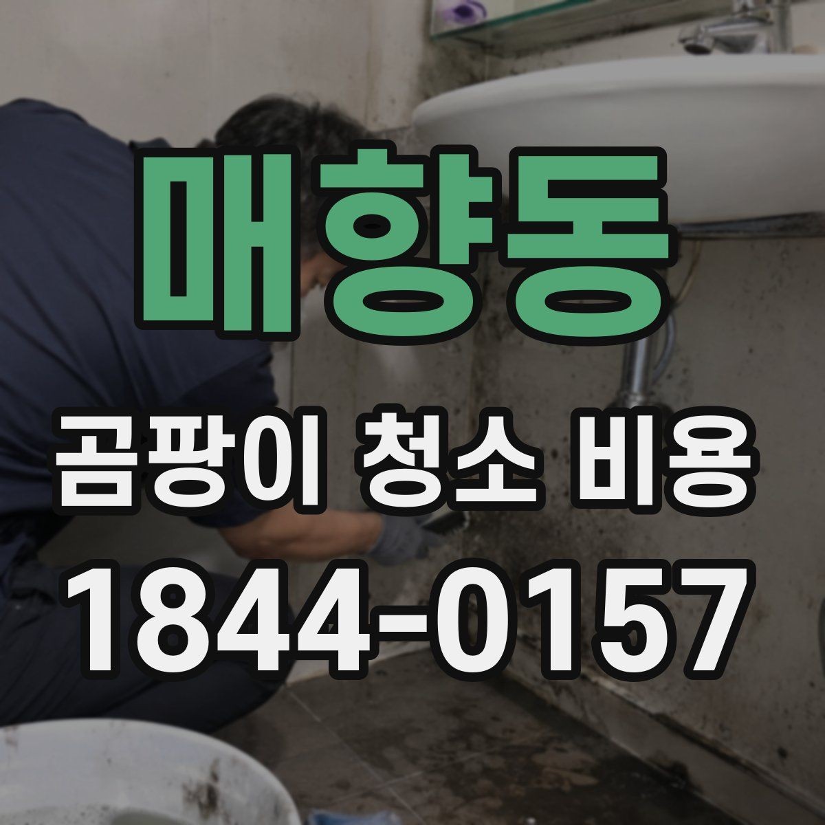 매향동 곰팡이 청소 비용 욕실 오염 범위가 넓을 때 기준