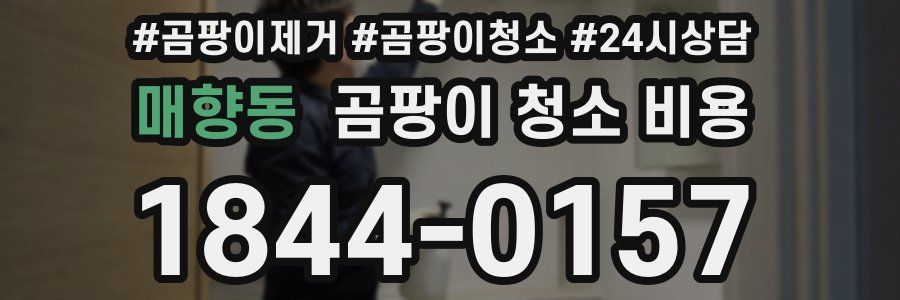 매향동 곰팡이 청소 비용