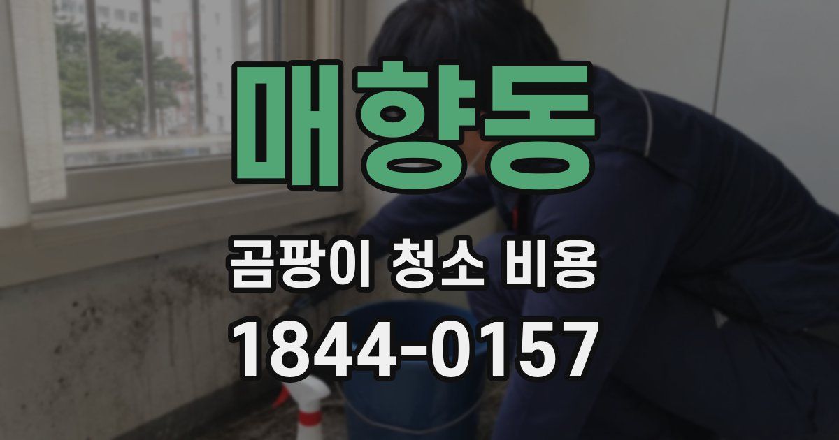 매향동 곰팡이 청소 비용