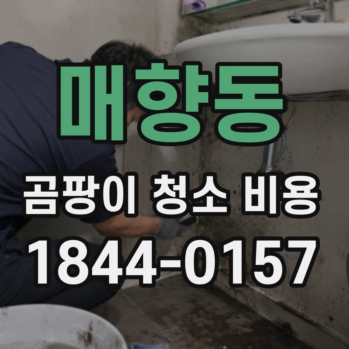 매향동 곰팡이 청소 비용