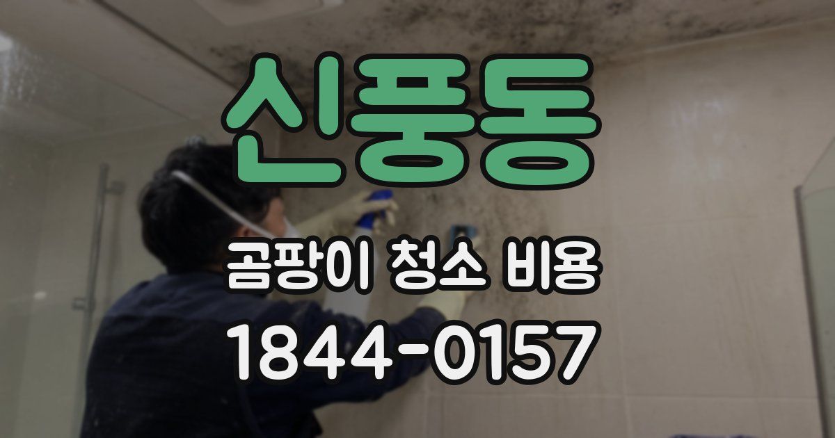 신풍동 곰팡이 청소 비용