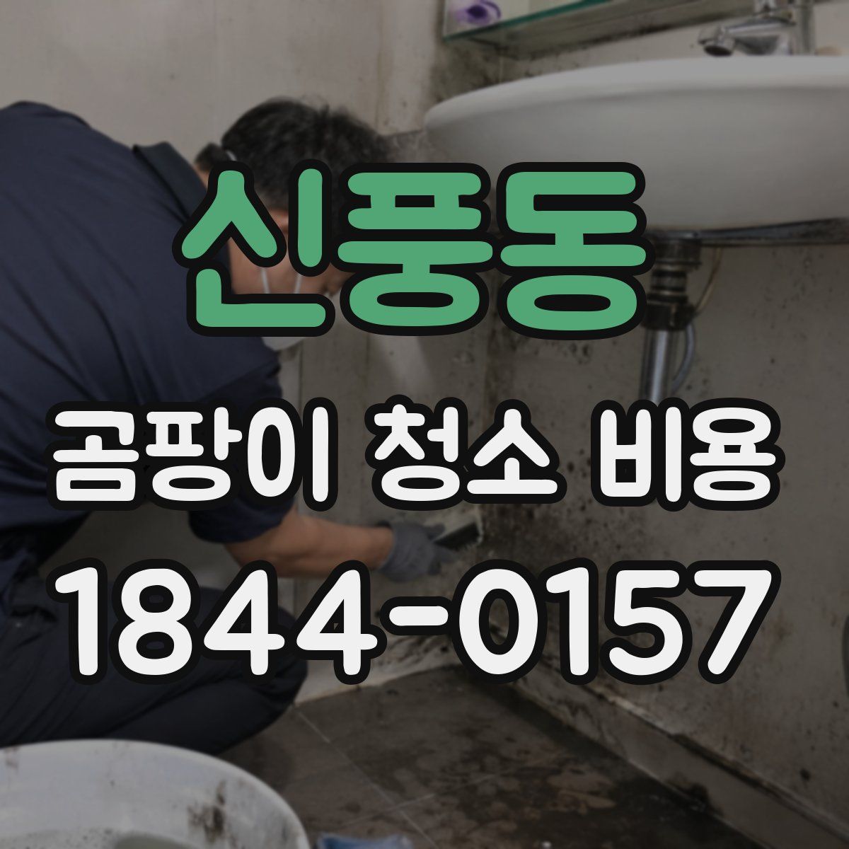 신풍동 곰팡이 청소 비용