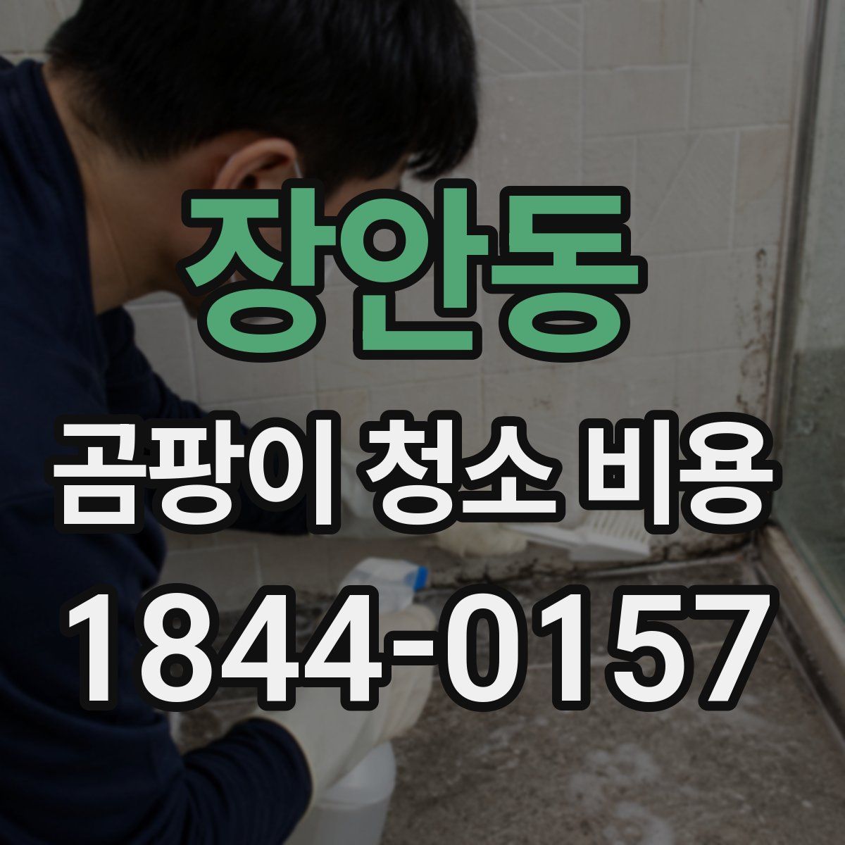 장안동 곰팡이 청소 비용