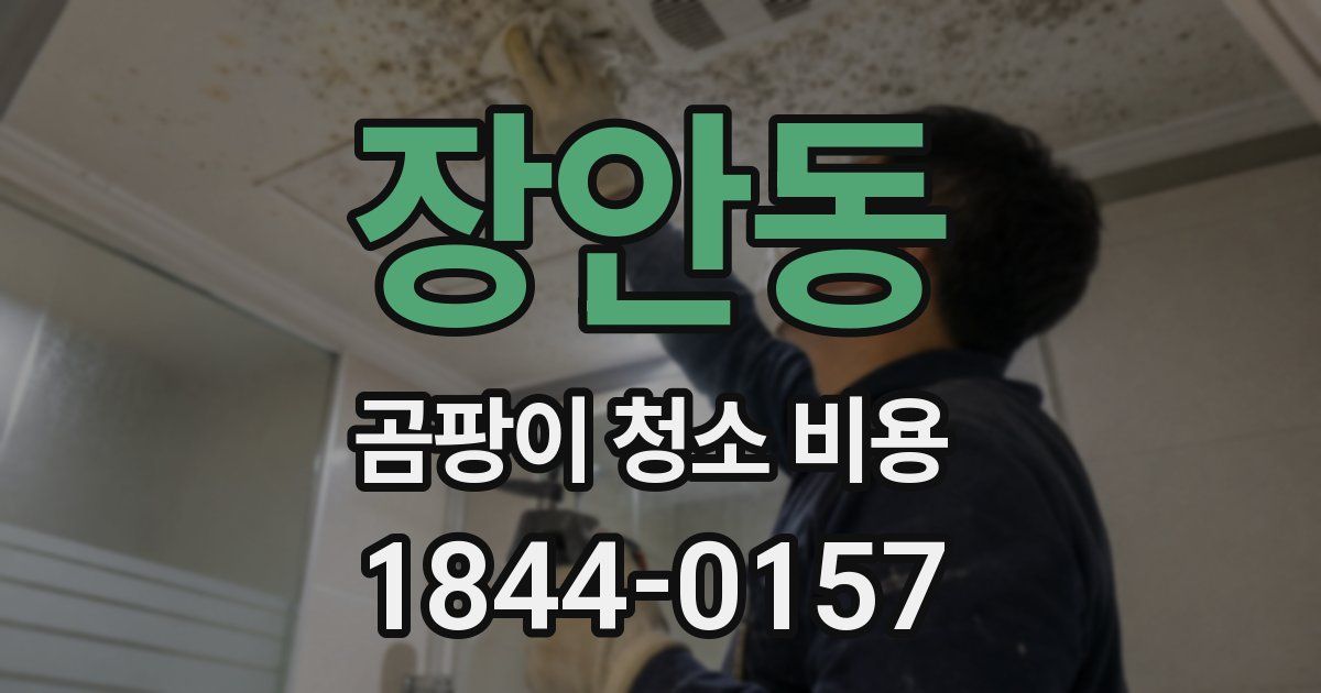 장안동 곰팡이 청소 비용