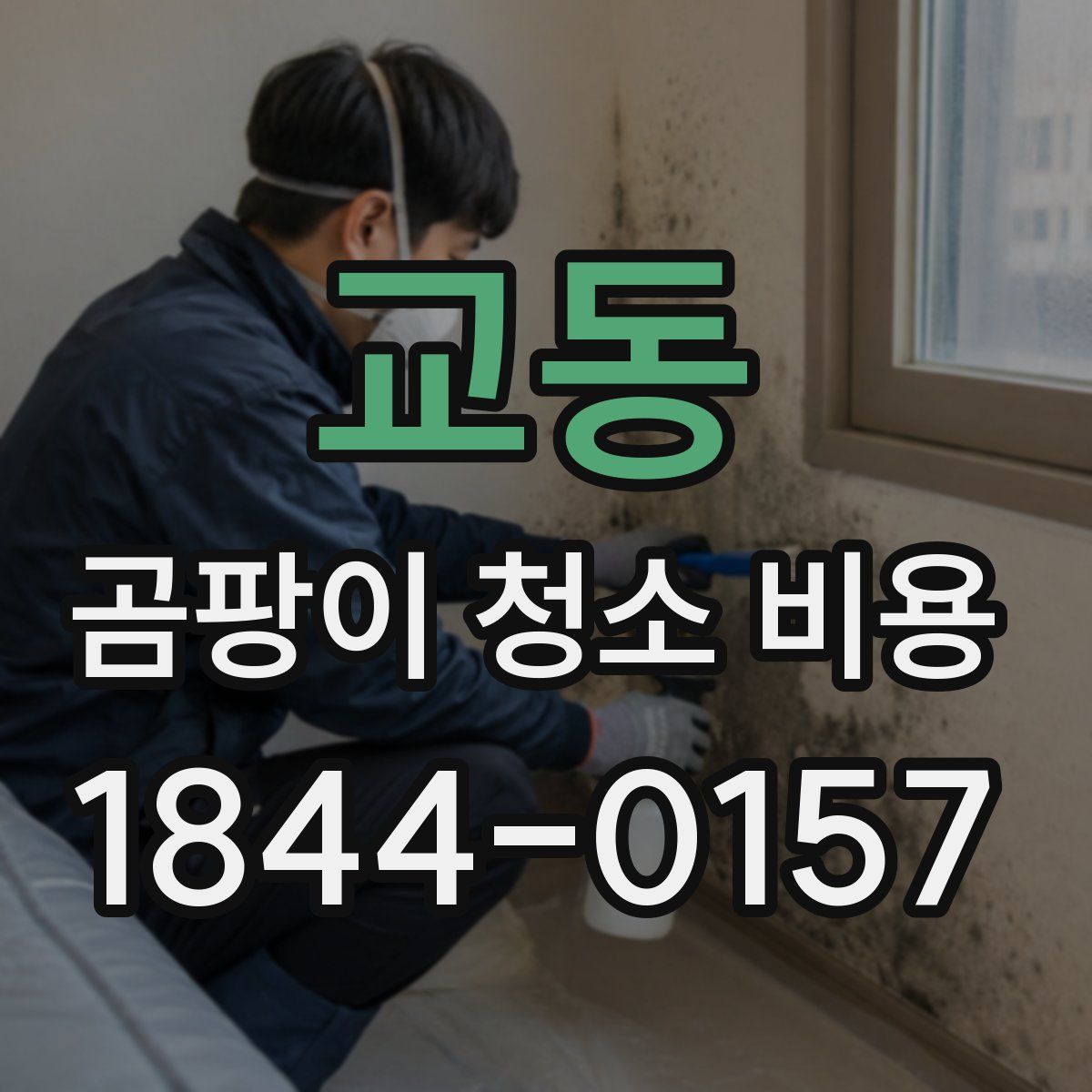 교동 곰팡이 청소 비용