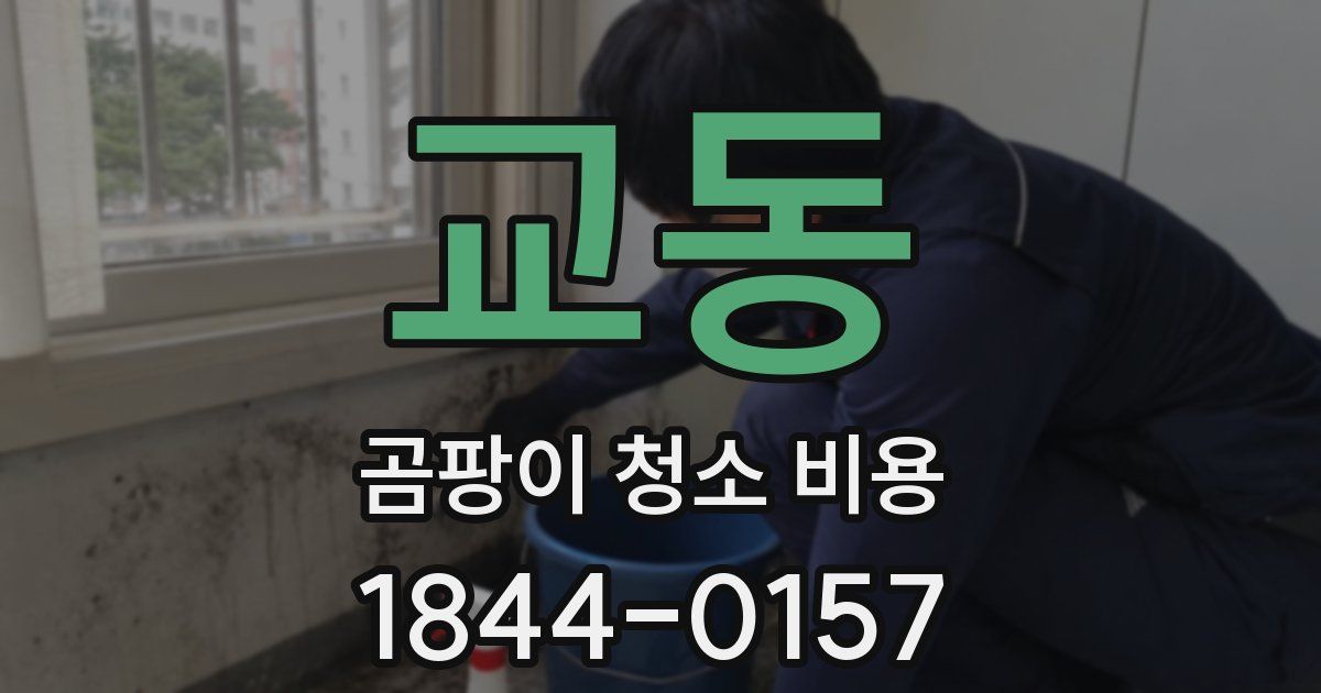 교동 곰팡이 청소 비용