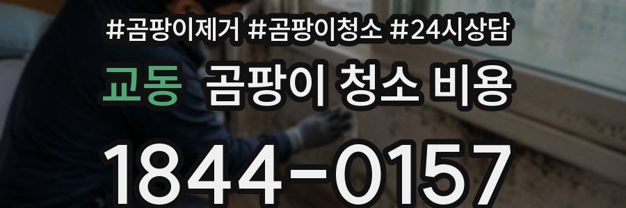 교동 곰팡이 청소 비용