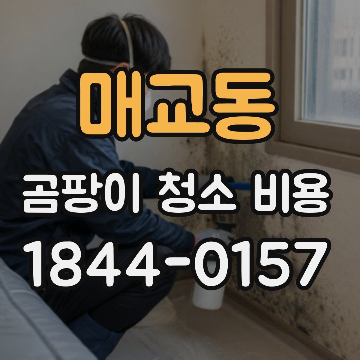 매교동 곰팡이 청소 비용 욕실과 베란다 오염 특성에 따라 달라지는 기준