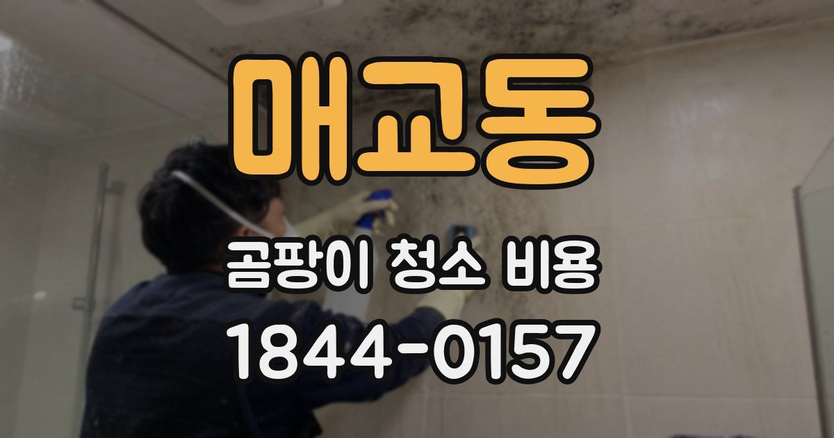매교동 곰팡이 청소 비용