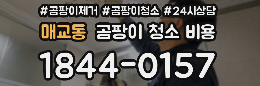 매교동 곰팡이 청소 비용