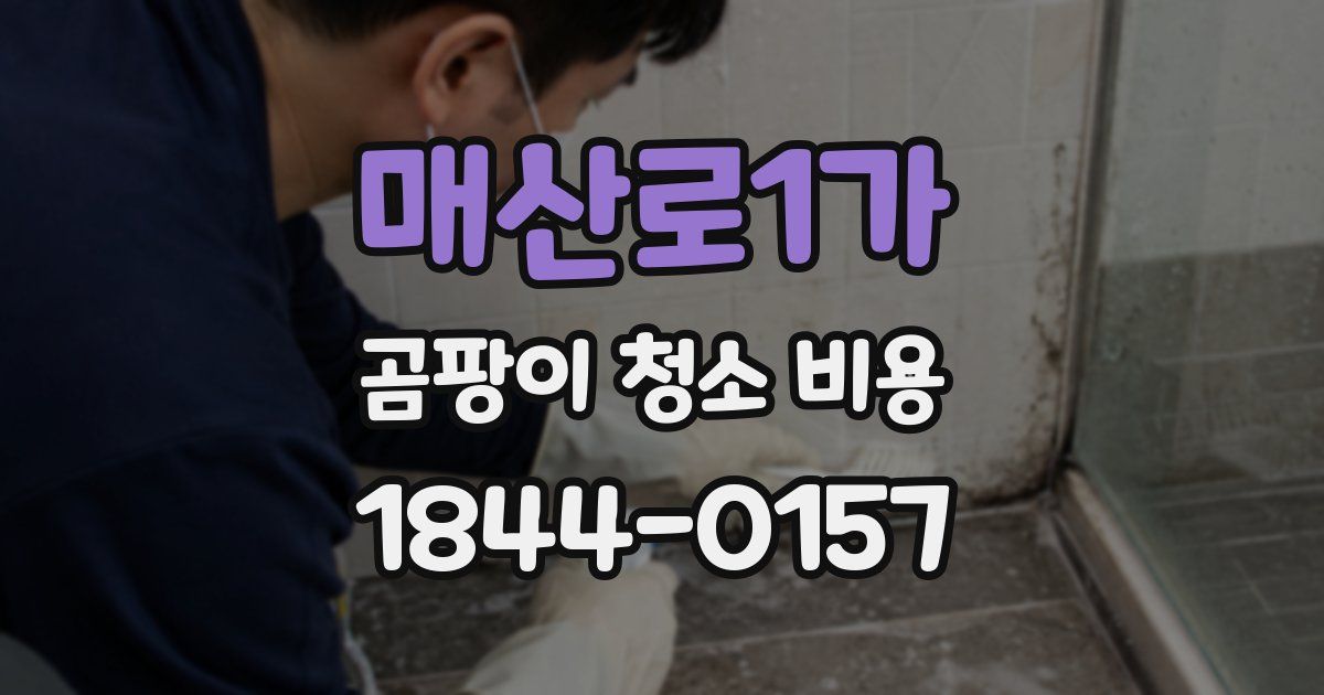 매산로1가 곰팡이 청소 비용