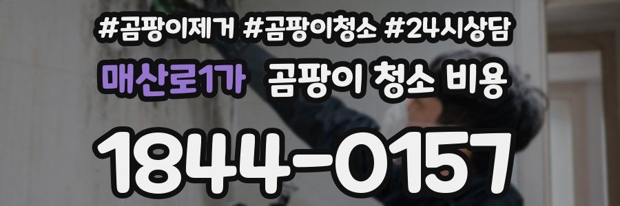 매산로1가 곰팡이 청소 비용