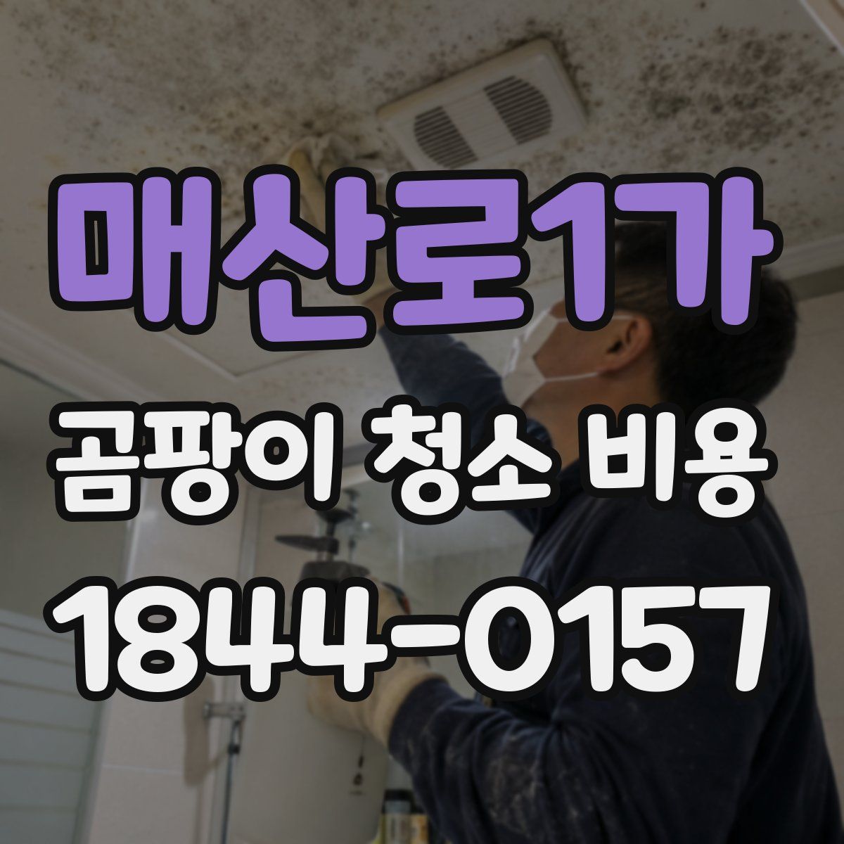 매산로1가 곰팡이 청소 비용