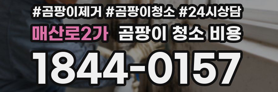 매산로2가 곰팡이 청소 비용
