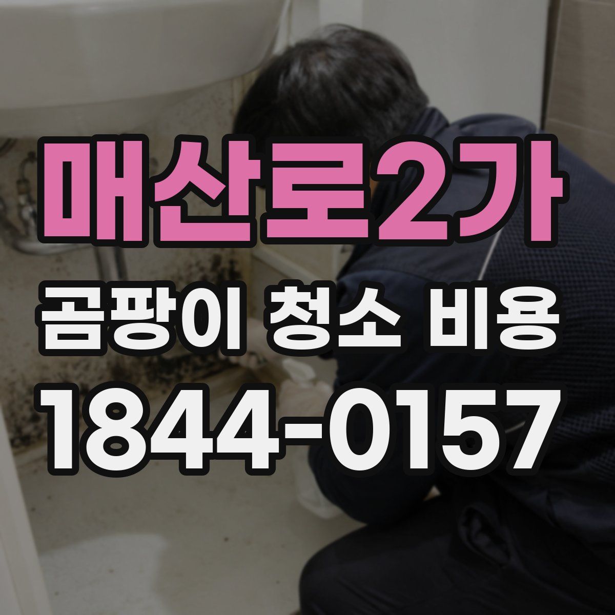 매산로2가 곰팡이 청소 비용