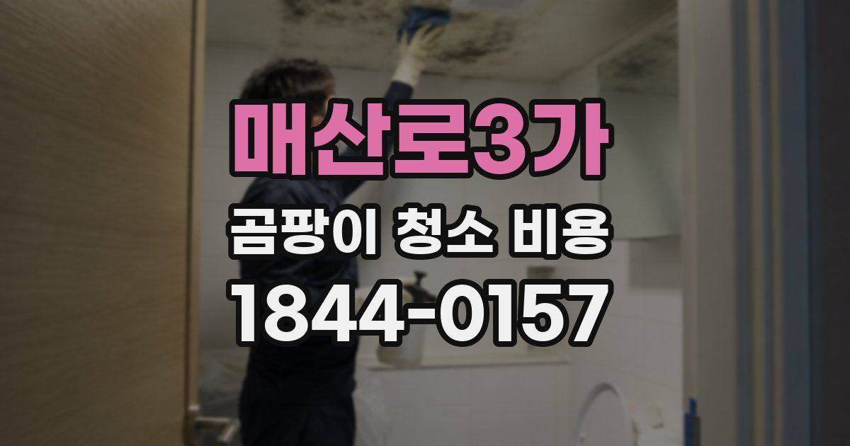 매산로3가 곰팡이 청소 비용